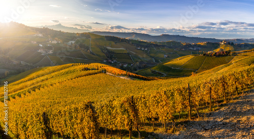 Langhe Vineyards in Autumn, Piedmont, Italy