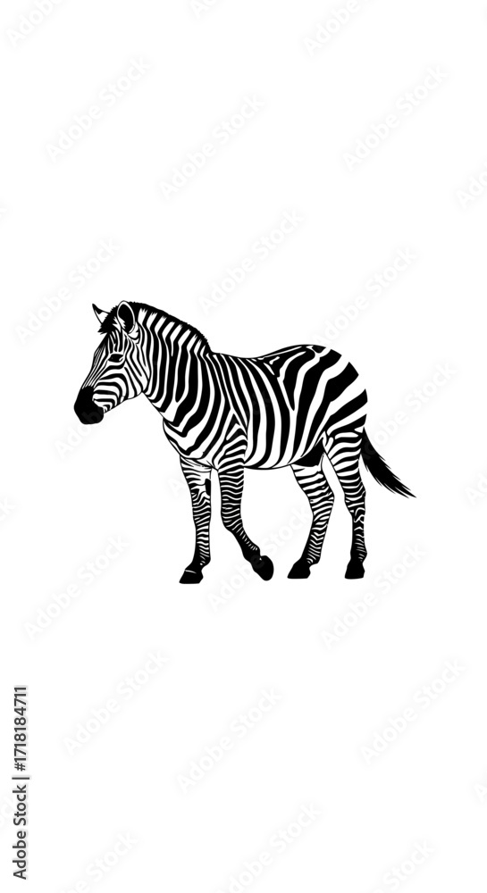 Naklejka premium Side view of a zebra, showing its distinctive black and white stripes.