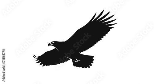 A striking silhouette of a majestic eagle in mid-flight, its wings spread wide against a clean white background.