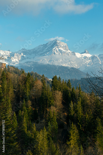 European nature forests, mountains and winter.