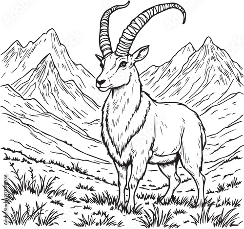 Majestic Mountain Goat Portrait: An awe-inspiring mountain goat, its magnificent horns a testament to its strength, stands proudly against the backdrop of towering mountain peaks.