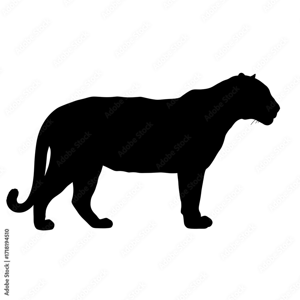 Fototapeta premium Silhouette of a panther isolated on transparent background, standing in profile