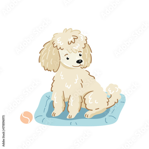 A cartoon toy poodle sitting in a blue bed with a pink ball, flat vector illustration on a white background