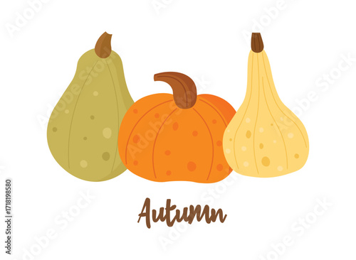 Colorful autumn illustration with pumpkin and gourds, perfect for seasonal design