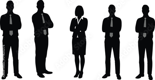 Business team silhouettes, corporate professionals standing together, leadership diversity, office teamwork, male and female executives, unity, success, workplace collaboration, strategy