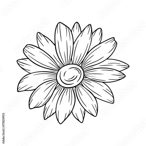 April birth flower daisy, line art vector, black and white botanical illustration, elegant floral sketch, minimalist outline drawing, hand drawn monochrome flower design, vintage aesthetic