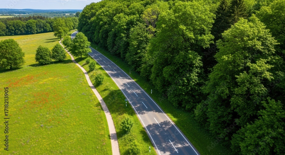Fototapeta premium Scenic Country Road Winds Through Lush Green Fields and Dense Forest Landscape