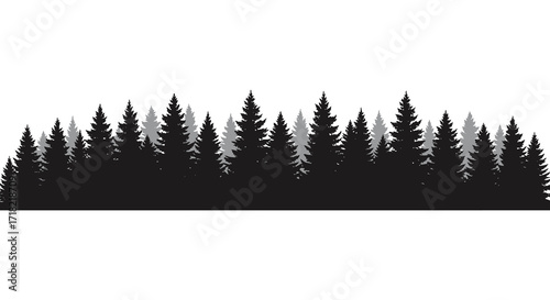 Silhouetted coniferous forest against a plain white background landscape