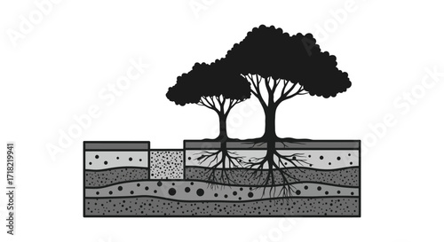 Illustration of trees with visible root systems and soil layers below