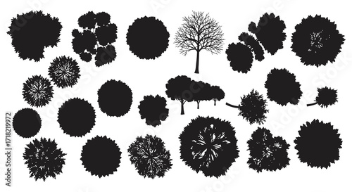 A collection of black silhouettes depicting various trees and shrubbery forms
