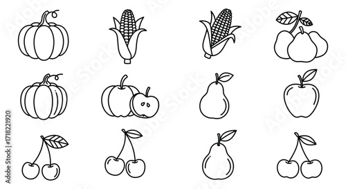 Simple line drawing of autumn harvest fruits and vegetables collection