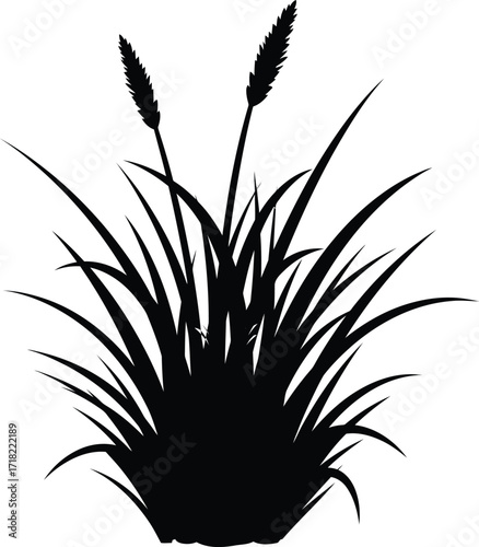 Simple black silhouette of tall grass and seed heads against white
