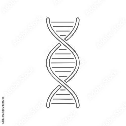 Simple DNA double helix strand structure line art illustration for genetic biology science research