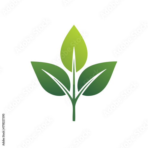 Vibrant Green Plant Sapling with Three Leaves Symbolizing Growth Nature and Eco Concepts