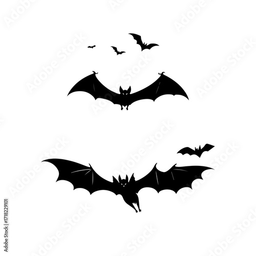 vector silhouette of bat