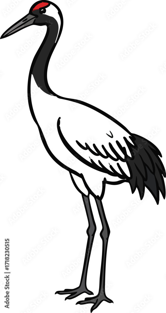 Fototapeta premium crane, Represent longevity and happiness, vector, transparent background