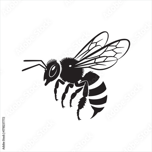 Bee vector illustration on white background with wings and flower detail