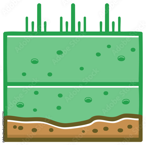 Illustration of layered soil cross-section with grass, roots, organic matter, and minerals