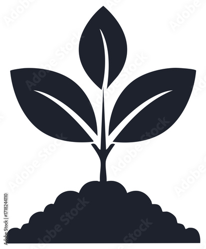 Germinating seedling sprouting from soil silhouette Growing plant with three leaves represents new beginning