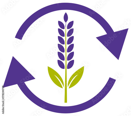 Purple Arrows Circling Wheat Stalk and Leaves Icon