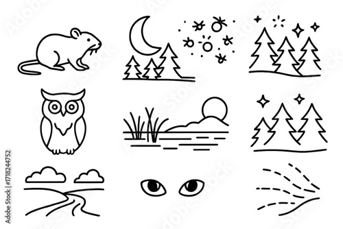 Nocturnal Nature Icons. Line style icons of night and dusk rewilding scenes: nocturnal animal, moon over forest, firefly swarm,