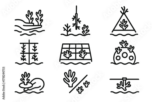 Coral Restoration Icons. Line style icons of coral restoration methods: coral fragment planting, rope nursery, underwater frame,