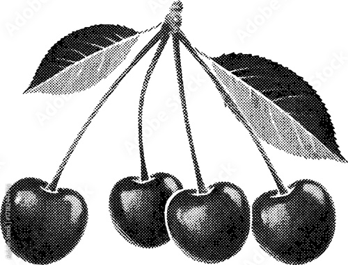 Black and white halftone cherries with leaves, digital art illustration