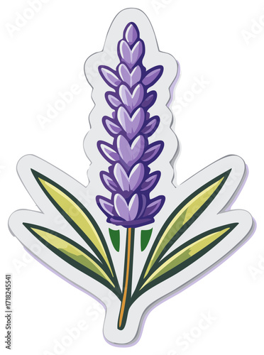 Stylized Lavender Sprig with Green Leaves Sticker Illustration Isolated on White