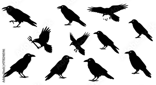 Collection of silhouetted crows in various poses including flying perching and standing iconic avian imagery