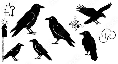 Mysterious black ravens and occult symbols set silhouettes for gothic designs and dark art themes
