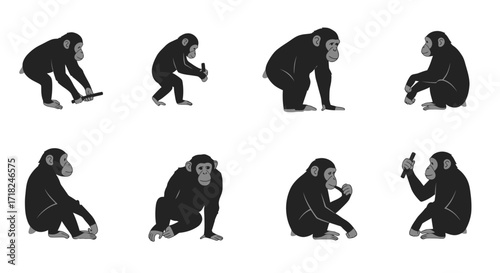 Chimpanzee poses silhouettes diverse monkey actions evolutionary primate studies nature wildlife photography animal behavior