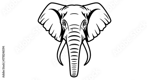 Majestic elephant head artwork tribal style outline drawing majestic animal art