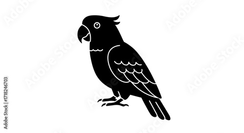 Silhouette of a black cockatoo bird perched gracefully with detailed feather texture