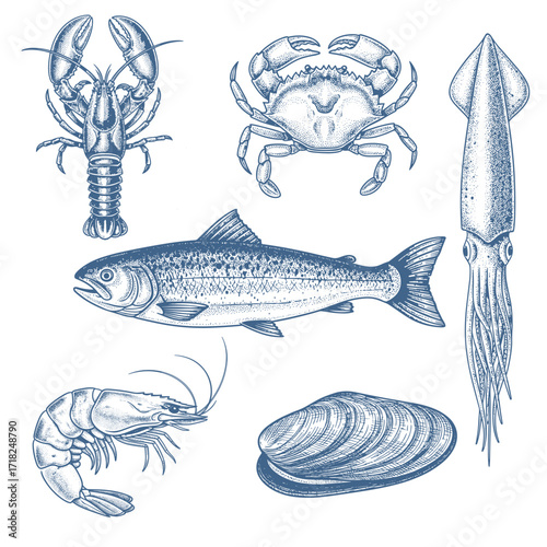 Hand Drawn Vintage Seafood Engraving Vector Set | Lobster Crab Shrimp Squid Fish Illustration
