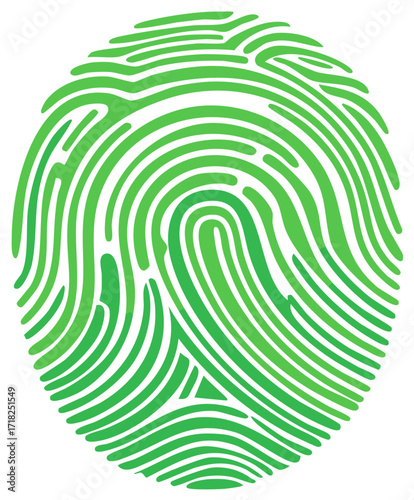 Green fingerprint illustration, unique identity pattern for security or identification, biometrics, access control, design element.