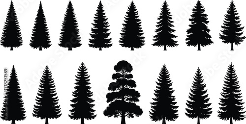 Pine and deciduous tree silhouettes collection, black vector illustration set, forest nature design, evergreen conifer and broadleaf trees, decorative woodland artwork
