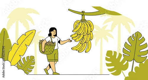Woman Harvesting Bananas in the Tropical Jungle with Freshly Grown Fruits Scene