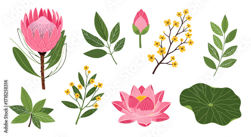 Collection of protea flower, lotus, bud, leaves, and small yellow flowers arrangement isolated