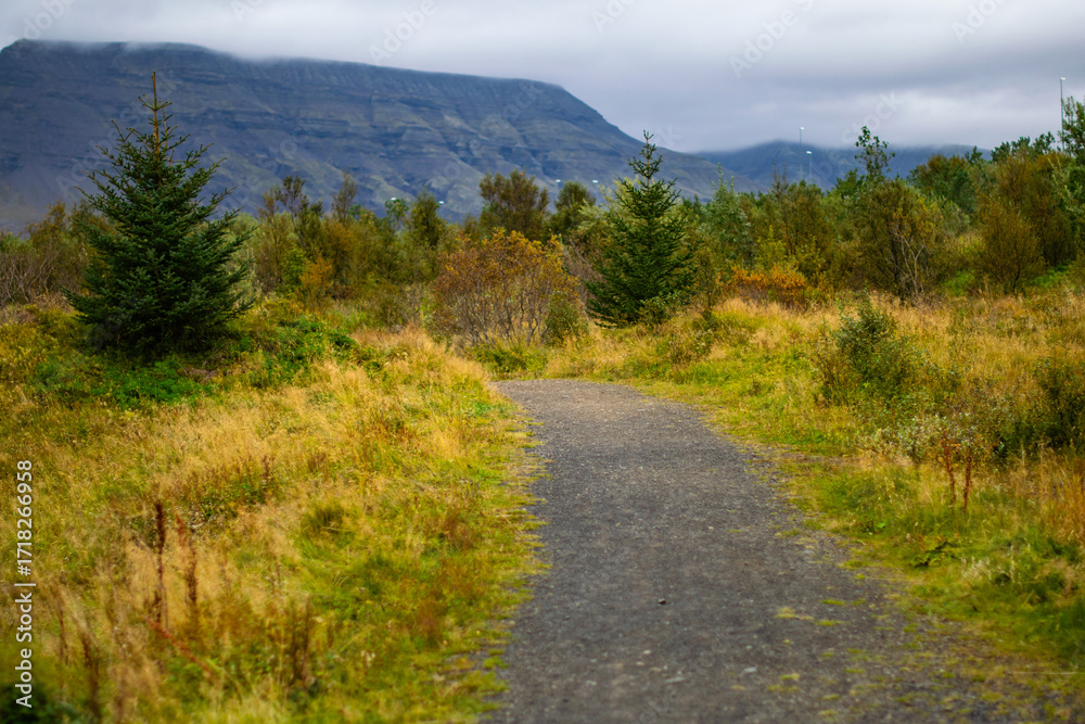 Fototapeta premium Mountain hiking path through forest and meadow