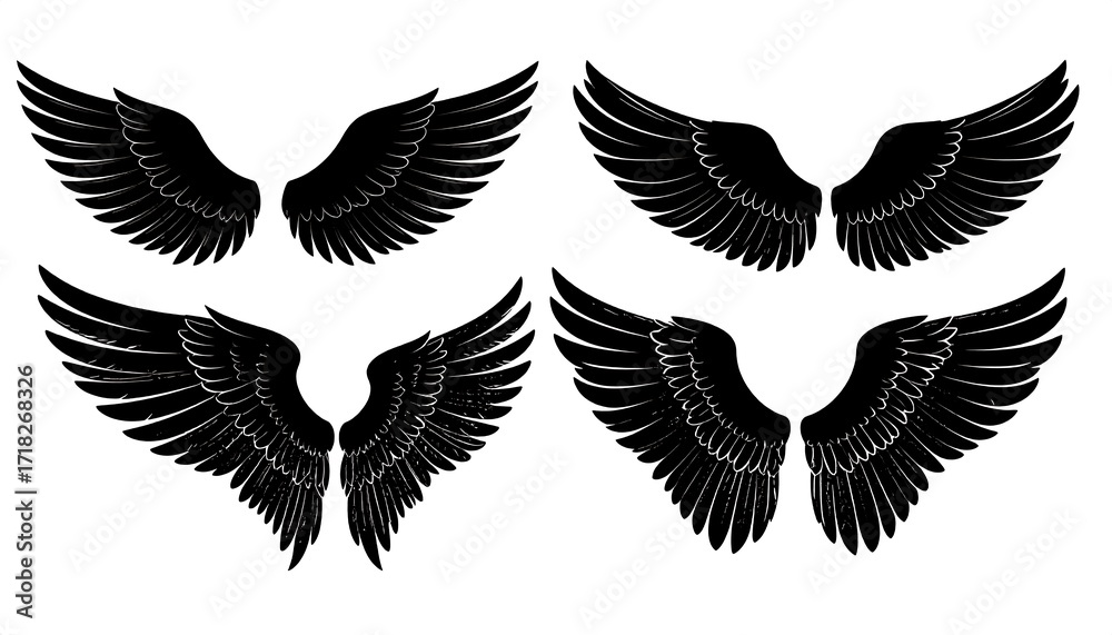 Fototapeta premium Black Angel Wings Design Set.