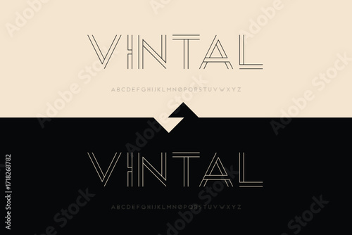 Modern vintal logo design with two tone background and reflection