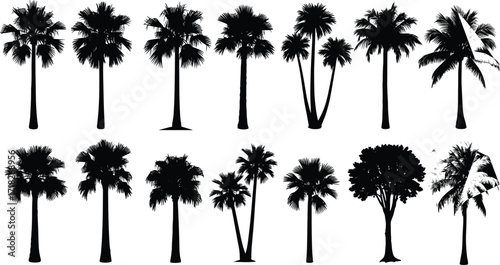Palm tree silhouettes, tropical tree collection, black vector icons, diverse frond shapes, botanical illustration, white background, nature clipart, landscape design