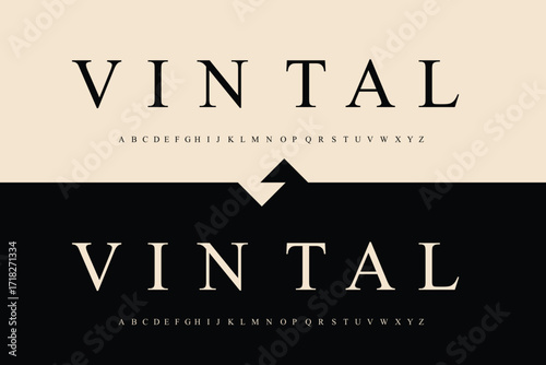 Retro bubble font word vintage in two color variations