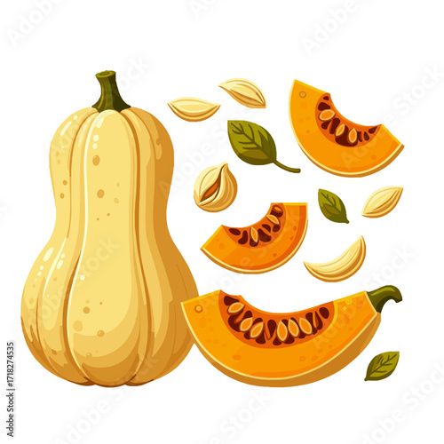Fresh butternut squash slices and seeds with green leaves  