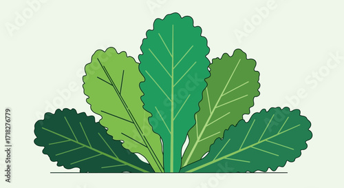Fresh, Green Organic Vegetable Illustration A Vibrant Depiction of Healthy Food for Culinary and Dietary Purposes