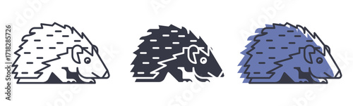 Stylized Hedgehog Icon Set. A set of modern, flat icons featuring a stylized hedgehog. The design is presented in three variations: a simple outline, a solid silhouette, and a colored version 