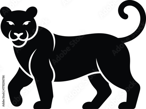 Black panther walking big cat feline