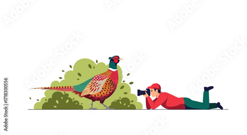 Photographer Capturing Pheasant: A Vibrant Depiction Of Nature Photography Illustration