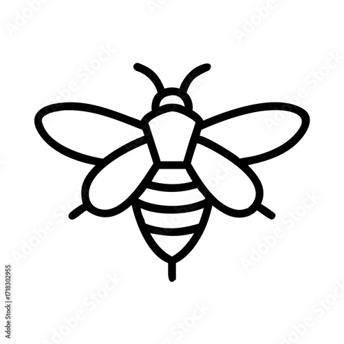 Honey bee outline vector illustration for beekeeping apiary and nature related design projects and crafts