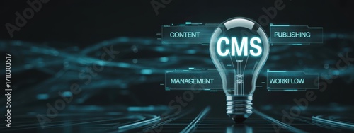Illuminating the World of CMS: A creative depiction of a digital lightbulb illuminates the core concepts of CMS, representing the dynamic elements of content management and workflow.